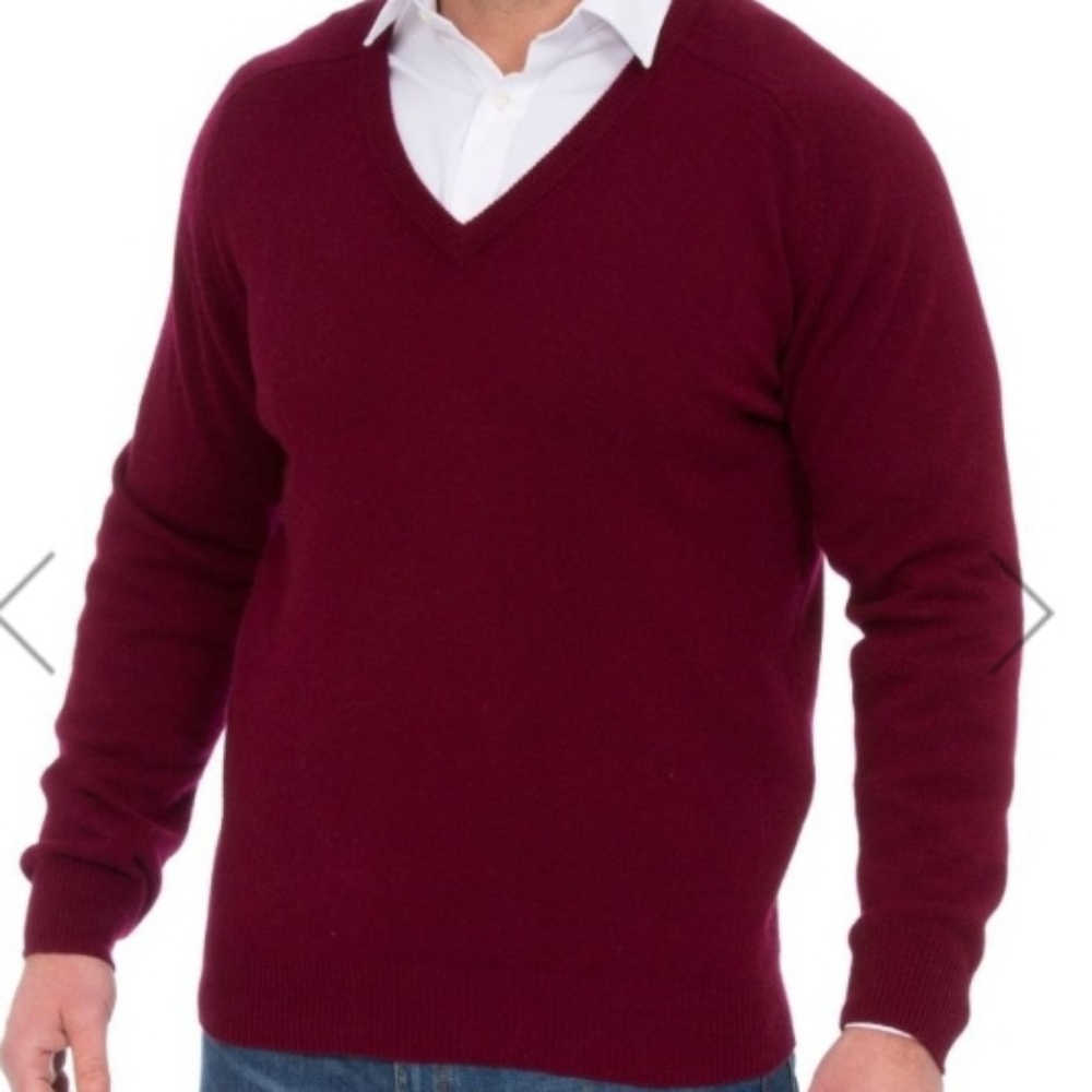 Alan Paine 100% Geelong Lambswool hampshire V neck